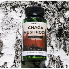 Чага Березовая - антиоксидант и защита организма, 60 капсул
