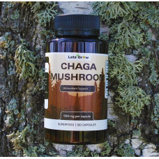Чага Березовая - антиоксидант и защита организма, 120 капсул