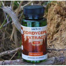 Кордицепс Милитарис Экстракт – микродозинг для энергии и иммунитета, 60 капсул