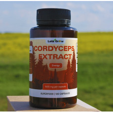Кордицепс Милитарис Экстракт – микродозинг для энергии и иммунитета, 120 капсул