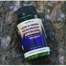 Ежовик Гребенчатый Мицелий — микродозинг для фокуса и памяти, 60 капсул
