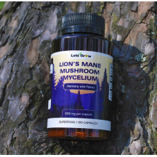 Ежовик Гребенчатый Мицелий — микродозинг для фокуса и памяти, 120 капсул