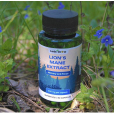 Ежовик Гребенчатый Экстракт — микродозинг для фокуса и памяти, 60 капсул