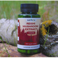 Рейши Экстракт - микродозинг для иммунитета и антистресс, 60 капсул