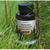 Шиитаке  Экстракт - микродозинг для иммунитета и энергии, 120 капсул