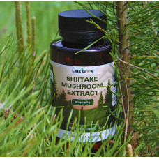 Шиитаке  Экстракт - микродозинг для иммунитета и энергии, 120 капсул