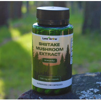 Шиитаке Экстракт - микродозинг для иммунитета и энергии, 60 капсул