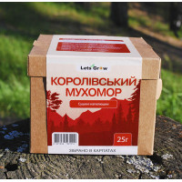 Мухомор Королевский Сушеный - отборные шляпки (25г) для микродозинга