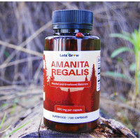 Мухомор Королевский Микродозинг в капсулах (120 шт) – курс на 60 дней