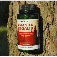 Мухомор Королевский Микродозинг в капсулах (60 шт) – курс на 30 дней