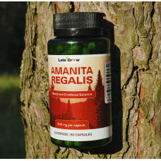 Мухомор Королевский Микродозинг в капсулах (60 шт) – курс на 30 дней