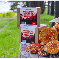 Мухомор Красный Сушеный - отборные шляпки (100г) для микродозинга