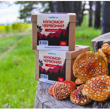 Мухомор Красный Сушеный - отборные шляпки (100г) для микродозинга