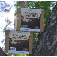 Мухомор Пантерный Сушеный - отборные шляпки (100г) для микродозинга