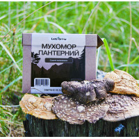 Мухомор Пантерный Сушеный – отборные шляпки (10г) для микродозинга (в дойпаке)