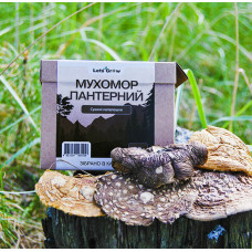 Мухомор Пантерный Сушеный – отборные шляпки (10г) для микродозинга (в дойпаке)