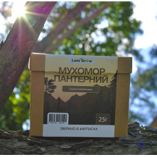 Мухомор Пантерный Сушеный – отборные шляпки (25г) для микродозинга