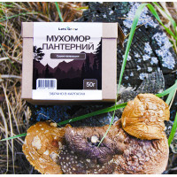 Мухомор Пантерный Сушеный – отборные шляпки (50г) для микродозинга