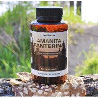 Мухомор Пантерный Микродозинг в капсулах (120 шт по 0.5 г) – Микродозинг на 60 дней