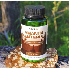 Мухомор Пантерный Микродозинг в капсулах (60 шт по 0.5 г) – Микродозинг на 30 дней
