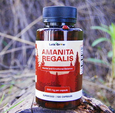 королевский мухомор в капсулах королевский мухомор в капсулах