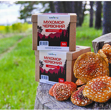 Красный мухомор красный мухомор в брендированной коробке