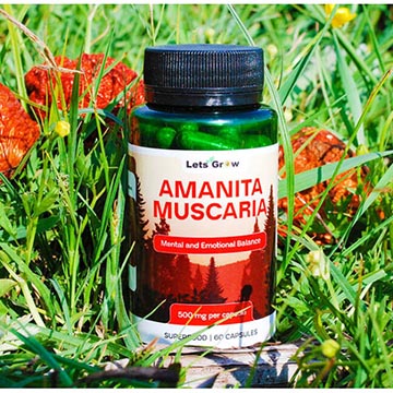 красный мухомор  мухомор красный в форме перемолотые красные шляпки в капсулах