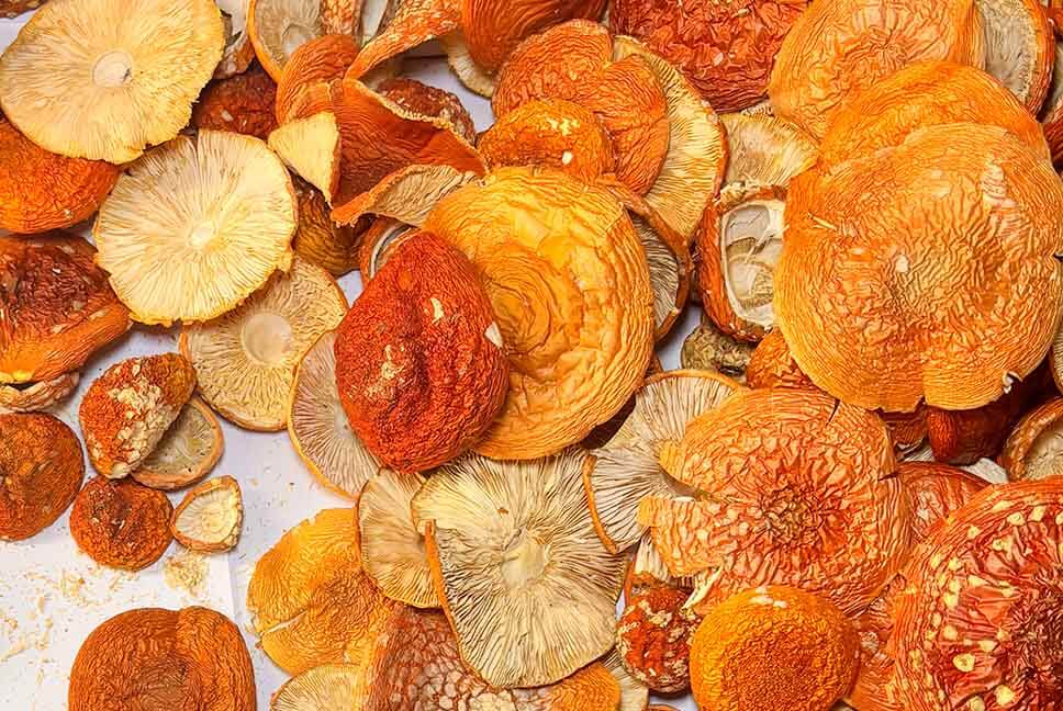 Сушеные мухоморы Купить в Украине сушеный красный мухомор