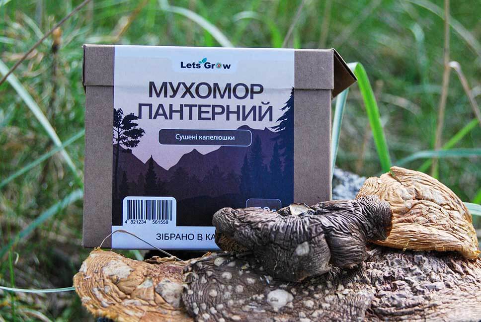 Купить пантерный мухомор в Украине Сушеный пантерный мухомор в упаковке